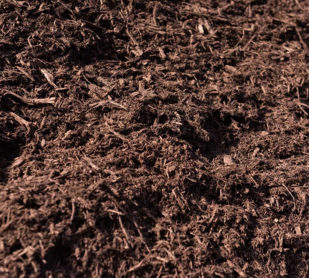 Chocolate Mulch
