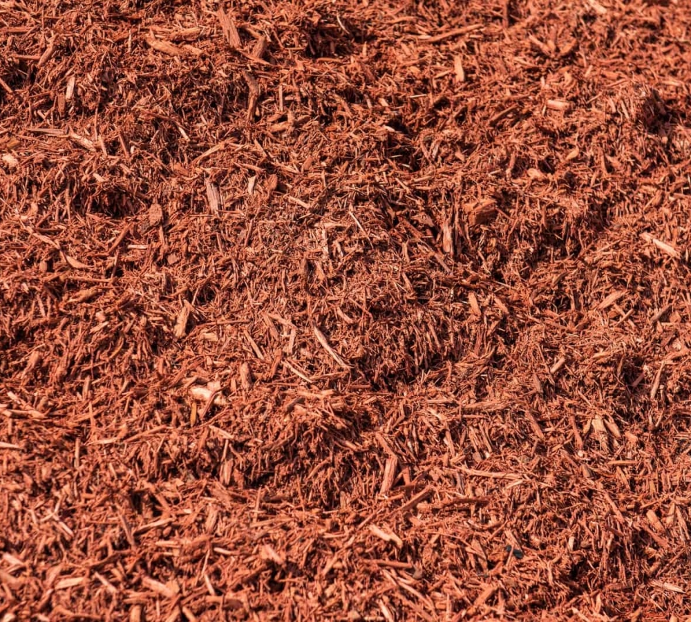 609164202919821eeab1c67c_red (JMM Mulch)-min-p-1600